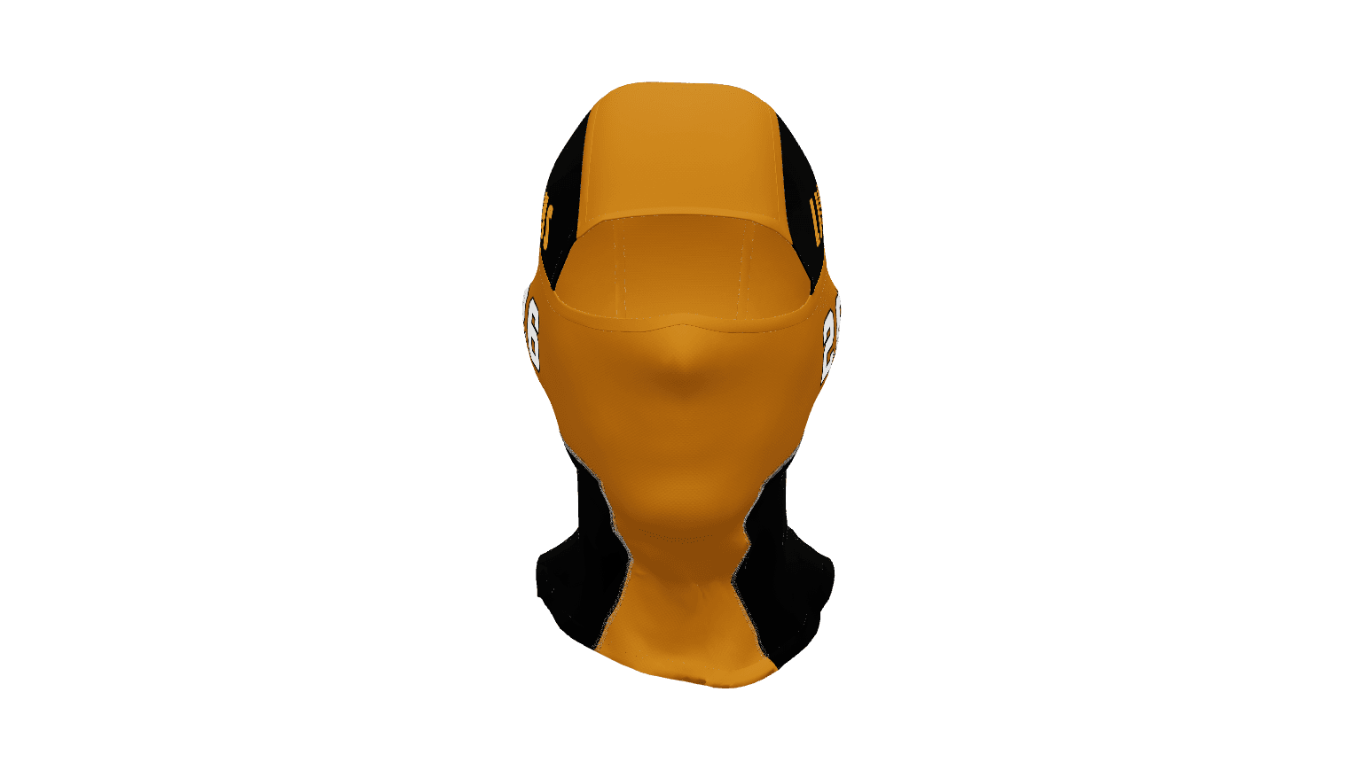 Ski Mask